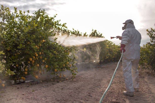 Best Pest Control Near Me in La Conner, WA