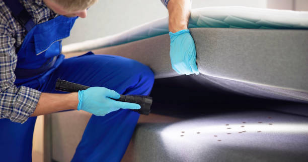 Best Affordable Pest Control Services  in La Conner, WA