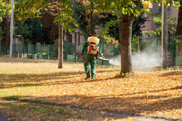Pest Control for Restaurants in La Conner, WA