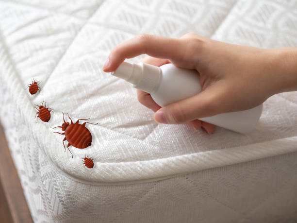 Professional Pest Control in La Conner, WA