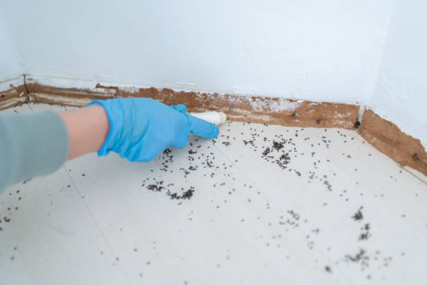 Best Pest Prevention Services  in La Conner, WA